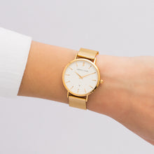 Load image into Gallery viewer, Gold Chain Kensington 34 (Gold/White)
